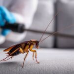 Tips to protect pets